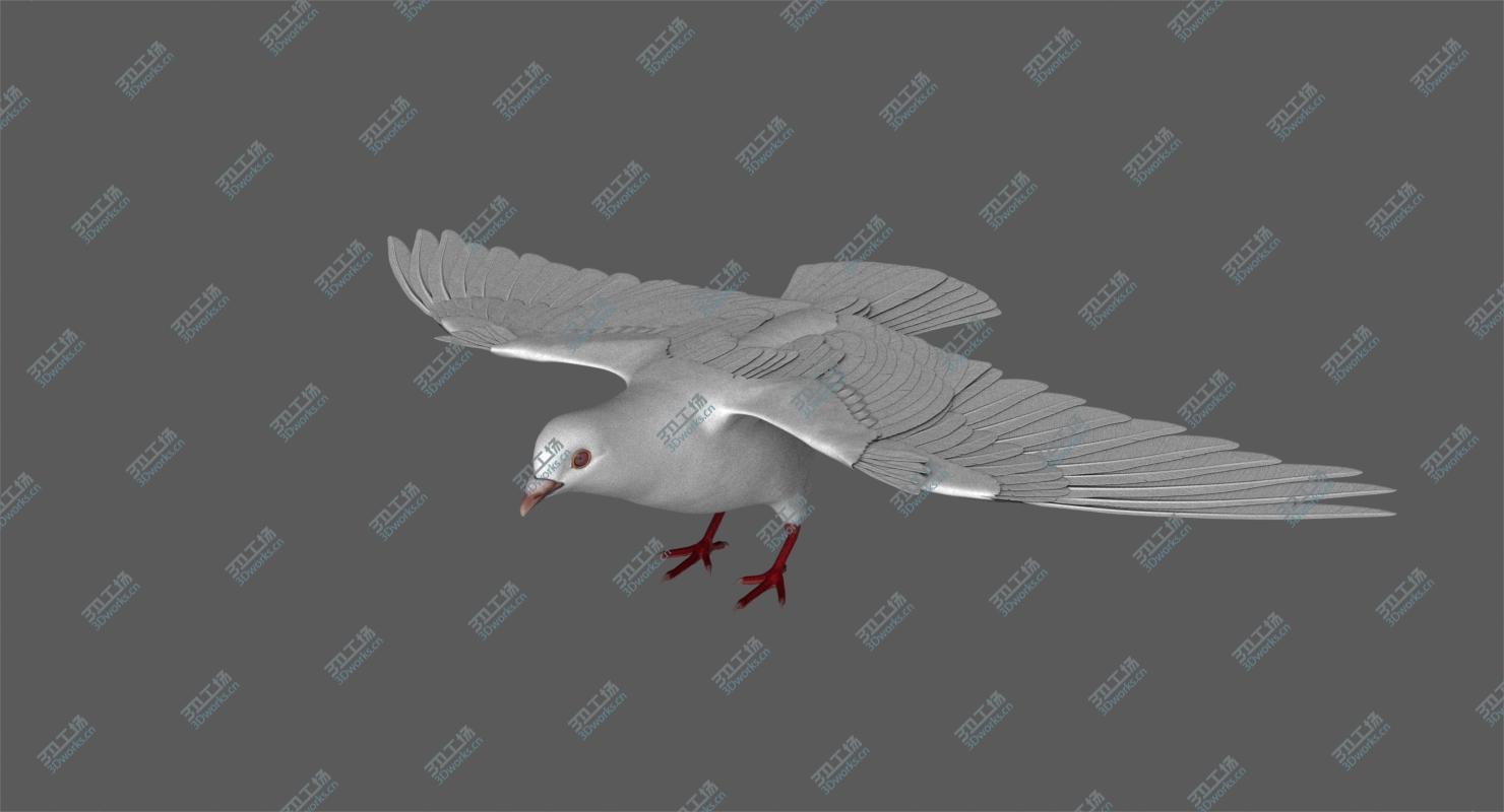 images/goods_img/20210319/White Dove model/4.jpg